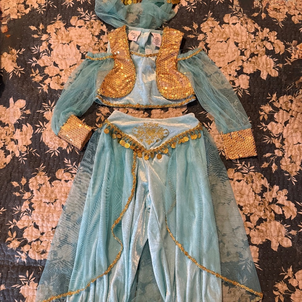 Jasmine costume- excellent condition size 4t US
